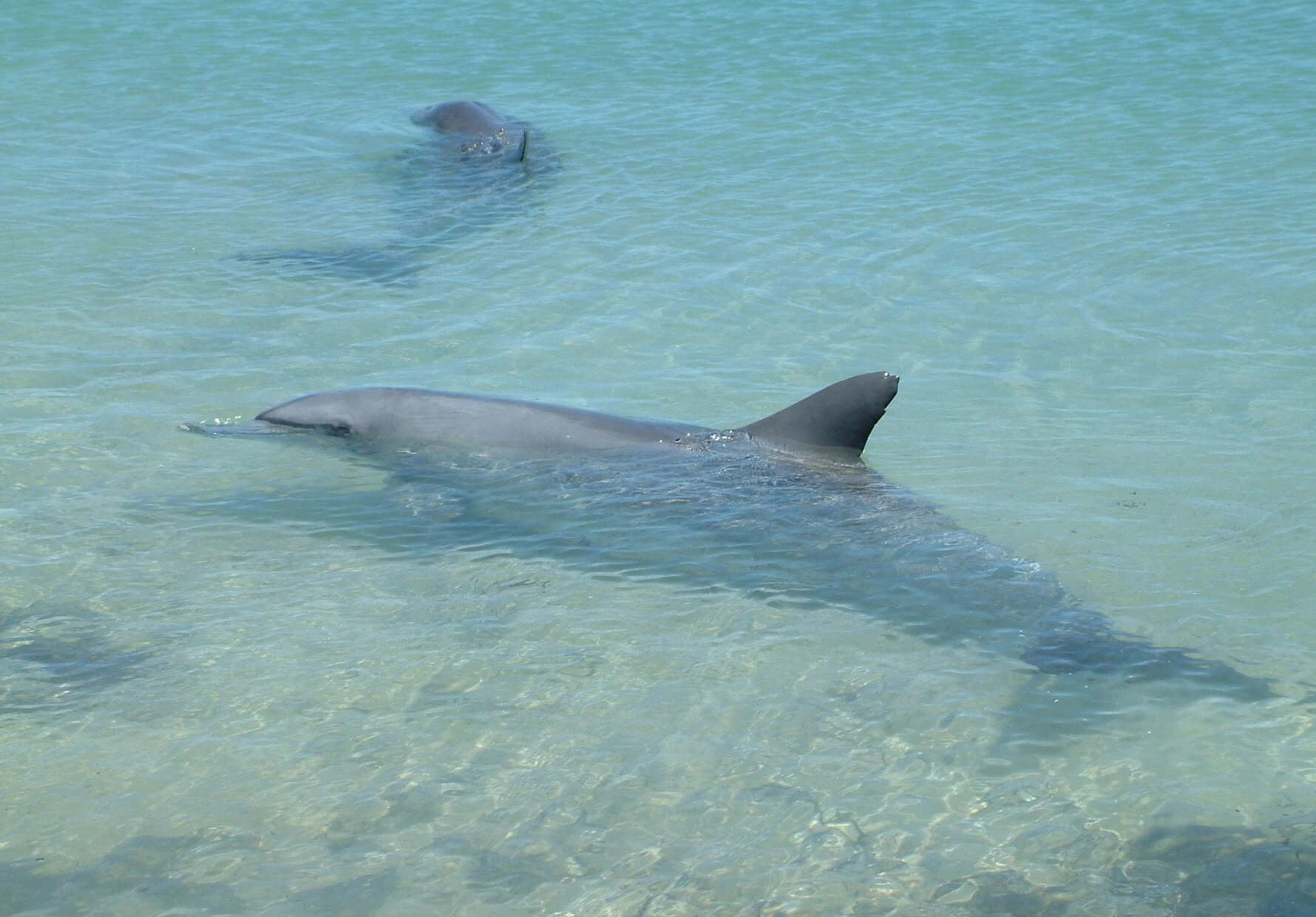 4x4 CAMPER HIRE PERTH GALLERY 4